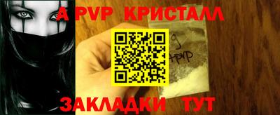 прущие грибы Можга