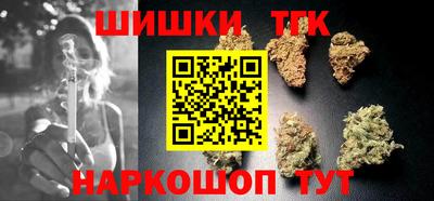 прущие грибы Можга