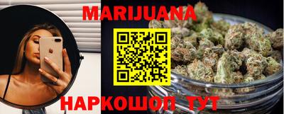прущие грибы Можга